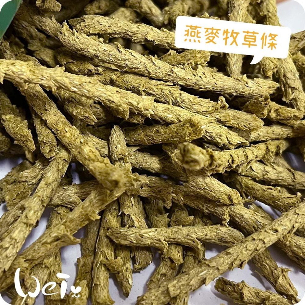 魏啥麻-日本HI PET 綠極燕麥牧草條 (低鈣 蛋白低 無苜蓿無麩質 甜燕麥 含木瓜酵素) 兔 天竺鼠-細節圖3
