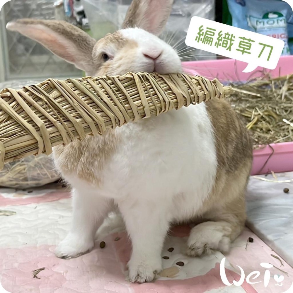 魏啥麻-台灣編織草刀 (嘉義農夫純手工編織) 磨牙玩具 (兔 天竺鼠)-細節圖5
