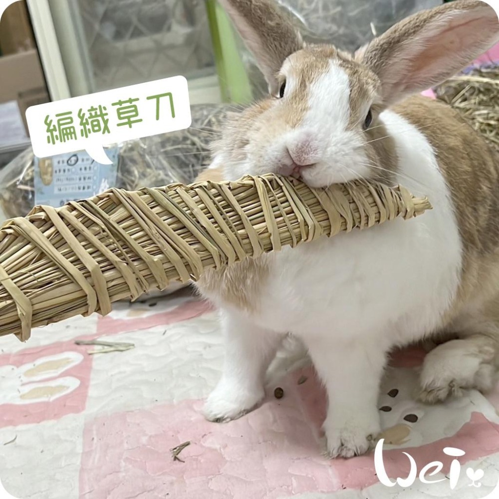 魏啥麻-台灣編織草刀 (嘉義農夫純手工編織) 磨牙玩具 (兔 天竺鼠)-細節圖6