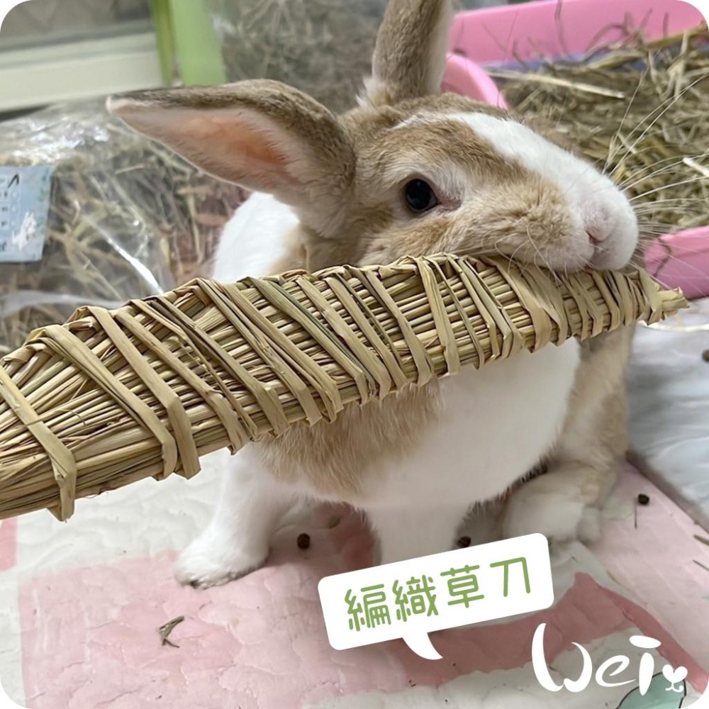 魏啥麻-台灣編織草刀 (嘉義農夫純手工編織) 磨牙玩具 (兔 天竺鼠)-細節圖8