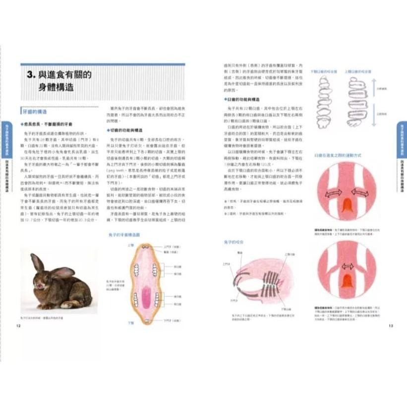 魏啥麻-《書》兔兔喜歡吃什麼？兔子的飲食與營養百科  新版 よくわかるウサギの食事と栄養-細節圖3
