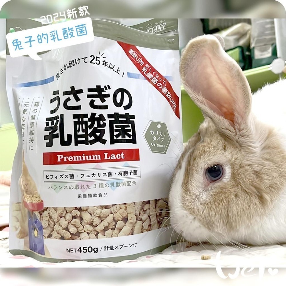 魏啥麻-日本WOOLY兔子的乳酸菌 (腸道保健 硬顆粒 含3益菌)兔 天竺鼠保健品-細節圖2