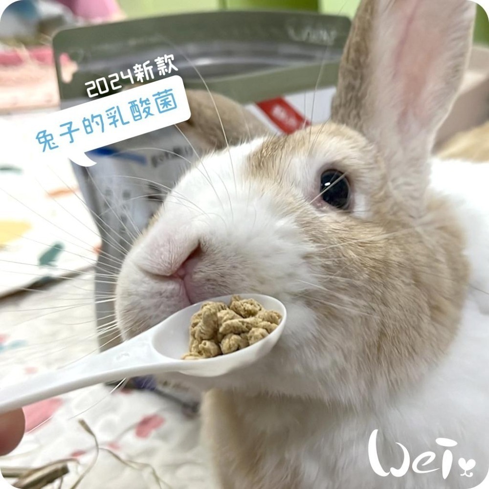 魏啥麻-日本WOOLY兔子的乳酸菌 (腸道保健 硬顆粒 含3益菌)兔 天竺鼠保健品-細節圖5
