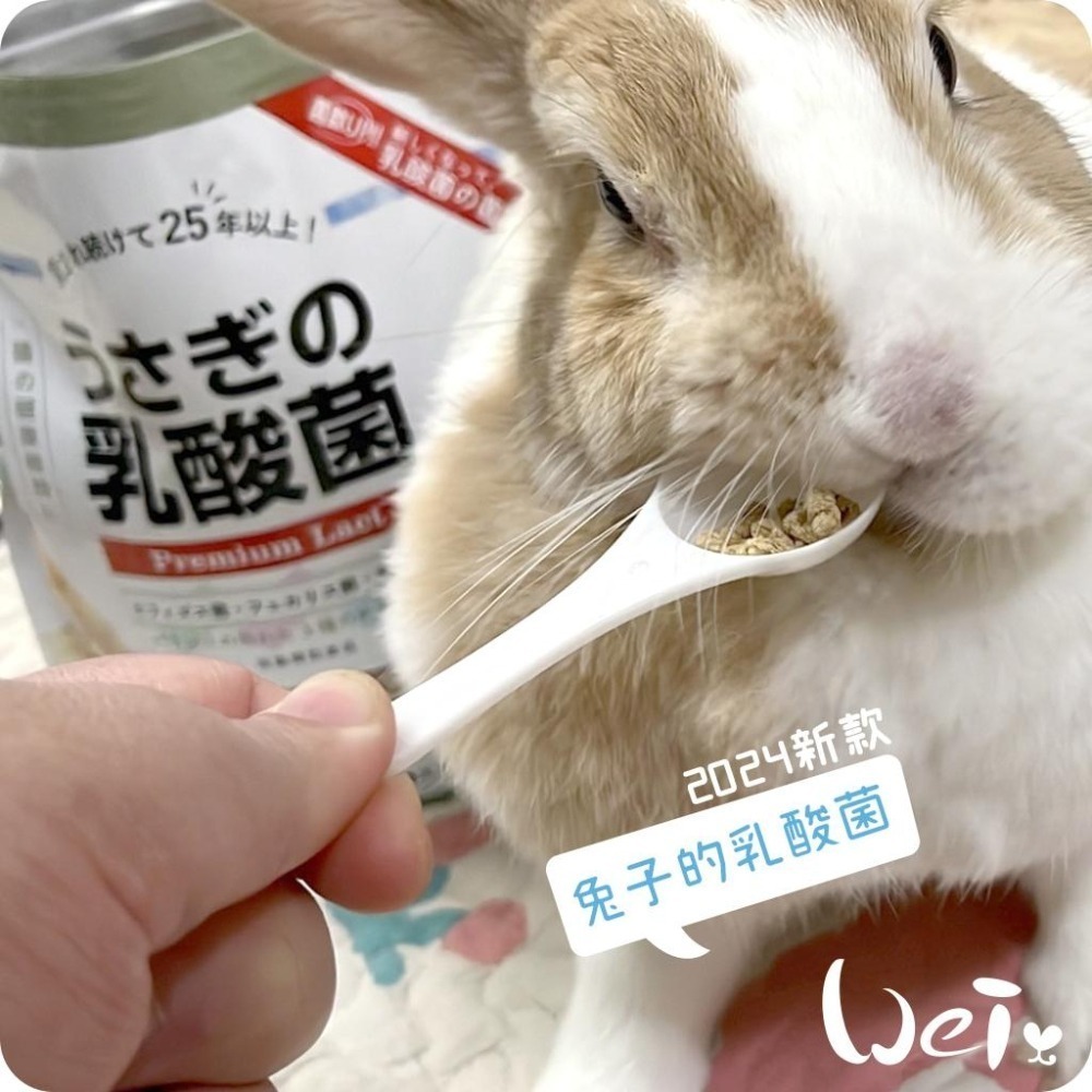 魏啥麻-日本WOOLY兔子的乳酸菌 (腸道保健 硬顆粒 含3益菌)兔 天竺鼠保健品-細節圖6