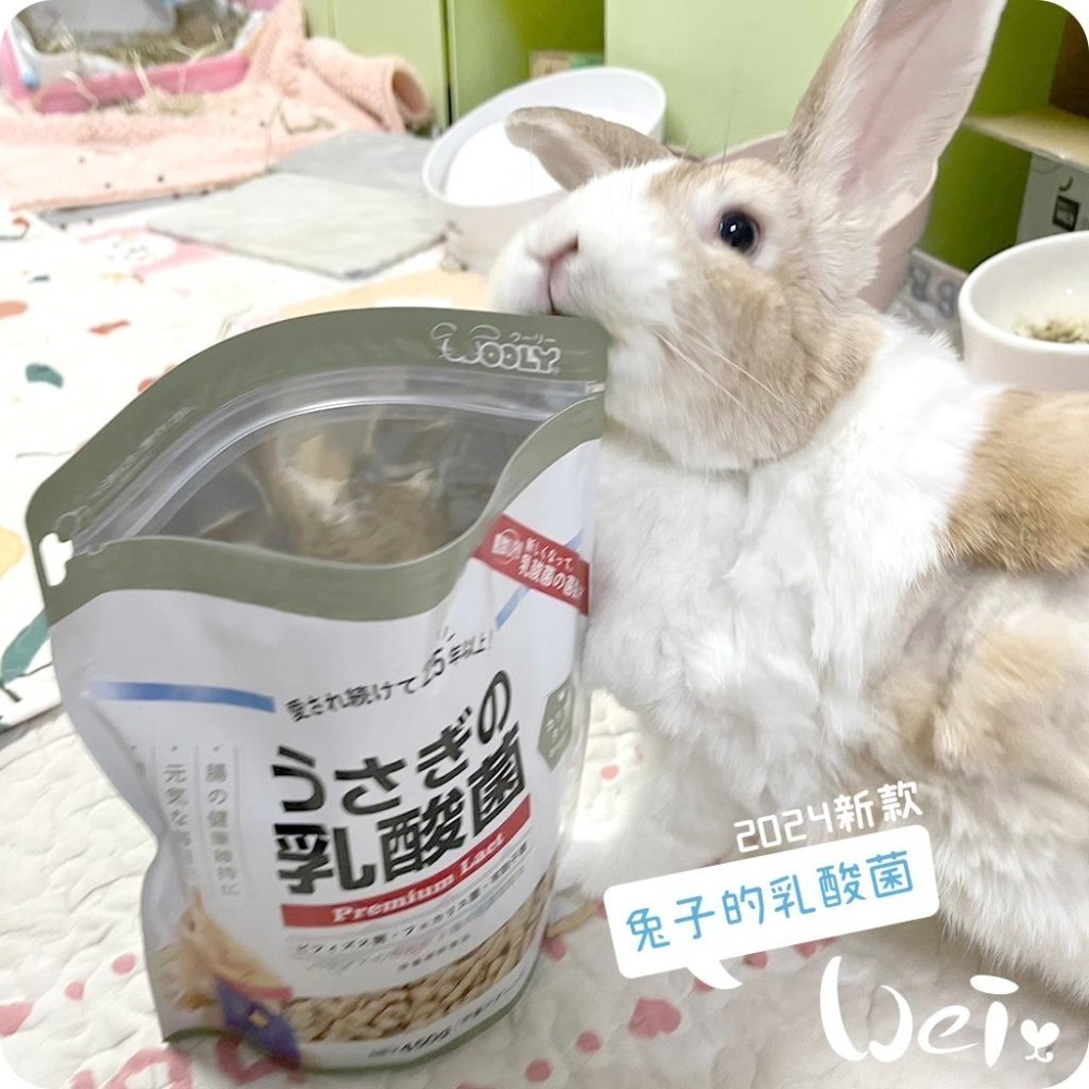 魏啥麻-日本WOOLY兔子的乳酸菌 (腸道保健 硬顆粒 含3益菌)兔 天竺鼠保健品-細節圖7