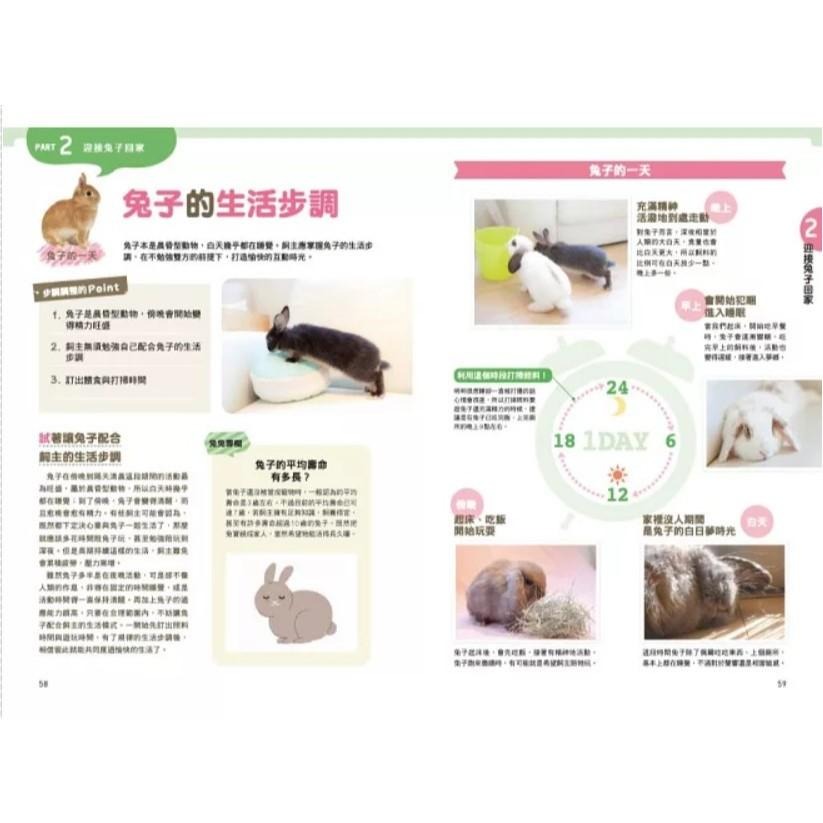 魏啥麻-《書》第一次養兔兔就上手！ はじめてのうさぎ飼い方・育て方-細節圖6