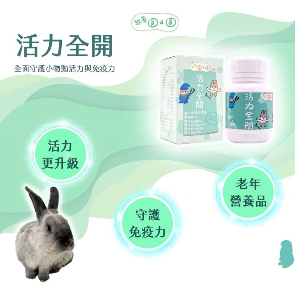 魏啥麻-牧草圓又圓 活力全開( 巴西蘑菇 微藻萃取 松樹皮萃取 丹蔘 輔酶Q10 大麥苗粉)兔 天竺鼠保健品-細節圖2