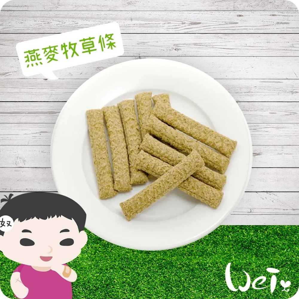 魏啥麻-日本HI PET 高纖化毛燕麥牧草條10入 (無麩質無苜蓿 含乳酸菌)(兔 天竺鼠零食)-細節圖2