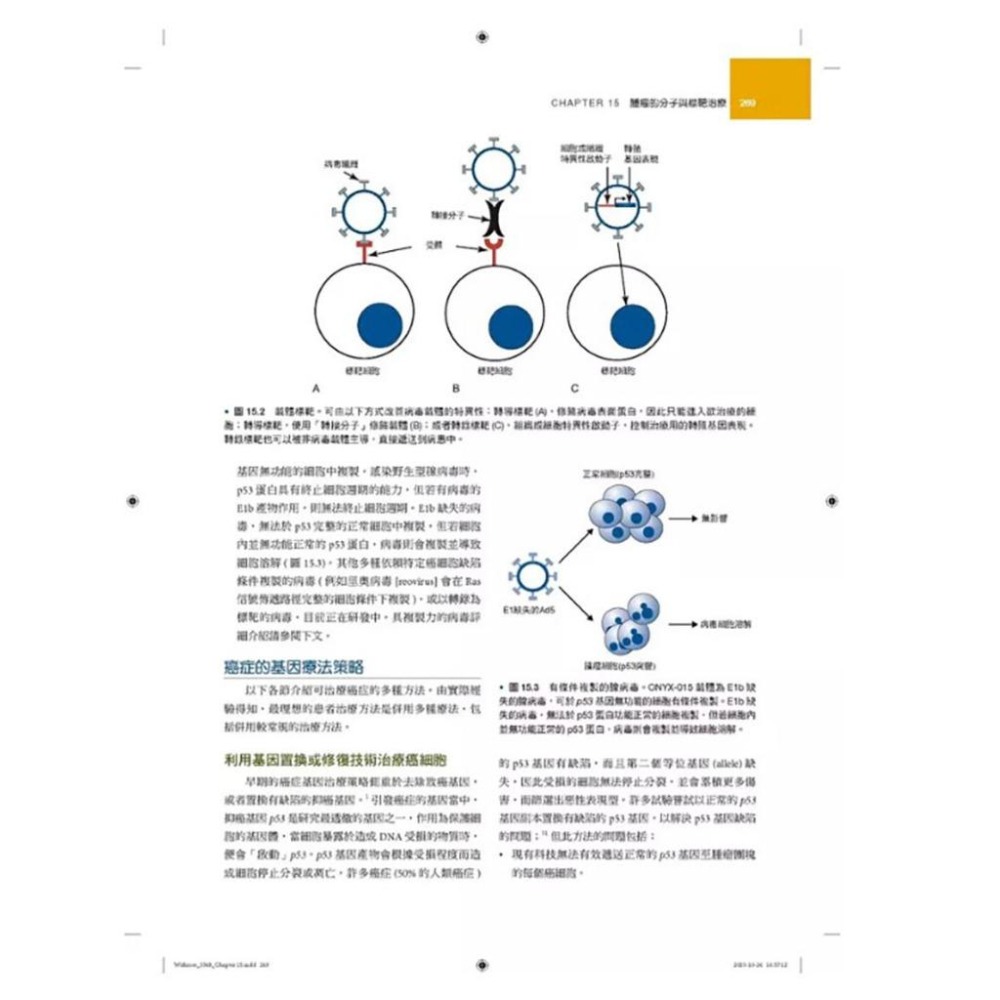 魏啥麻-《書》Withrow&MacEwen’s小動物臨床腫瘤學，第六版(下單後進貨) 專業獸醫書籍-細節圖5