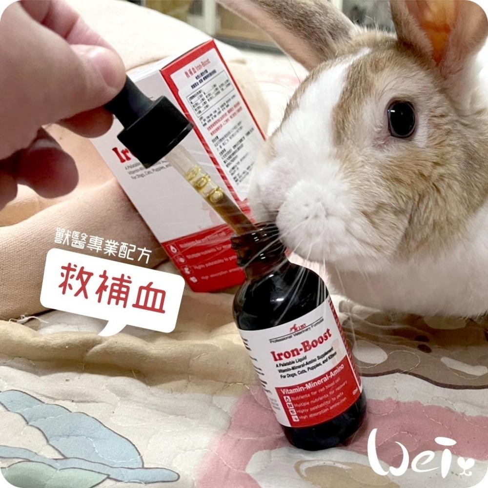 魏啥麻-J.VET救補血 60ml (兔天可用 補血 病後恢復) 使用前請諮詢醫生評估討論兔 天竺鼠保健品-細節圖8