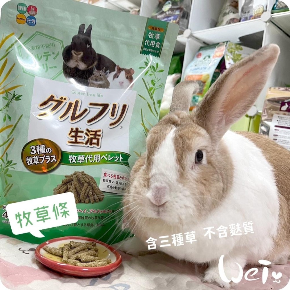 魏啥麻-日本HI PET 提摩西牧草條400g (三種草 無麩質 含苜蓿)(兔 天竺鼠牧草條)-細節圖2