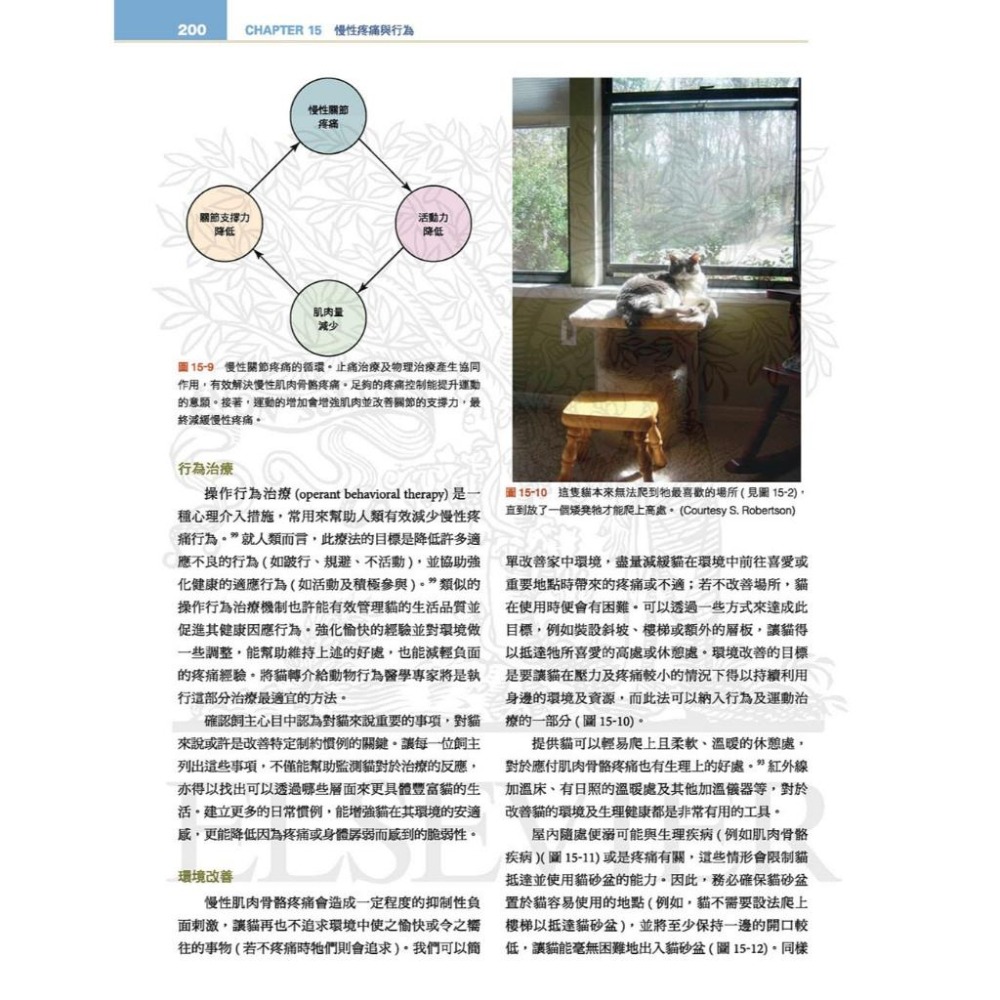 魏啥麻-《書》貓行為健康與福祉 (下單後進貨) 專業獸醫書籍-細節圖4