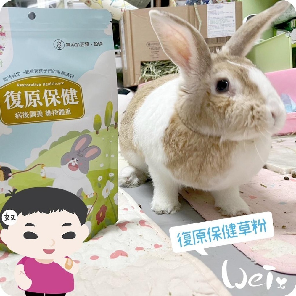 魏啥麻-兔女郎 復原保健草粉 (低鈣 無穀物/豆類 粗纖維高(26%) 蛋白質高(16%)兔 天竺鼠保健品-細節圖2