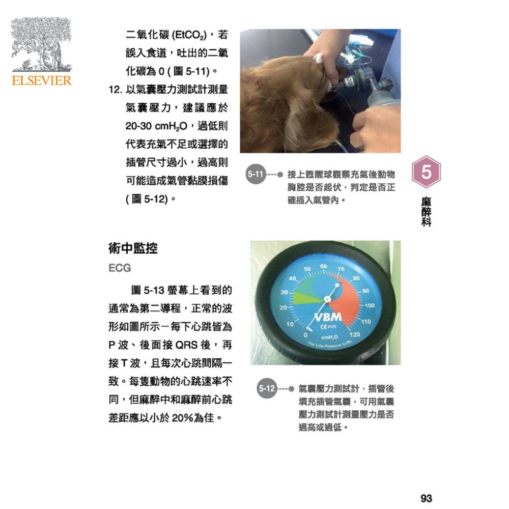 魏啥麻-《書》動物醫院分科與臨床技術手冊 (下單後進貨) 專業獸醫書籍-細節圖2
