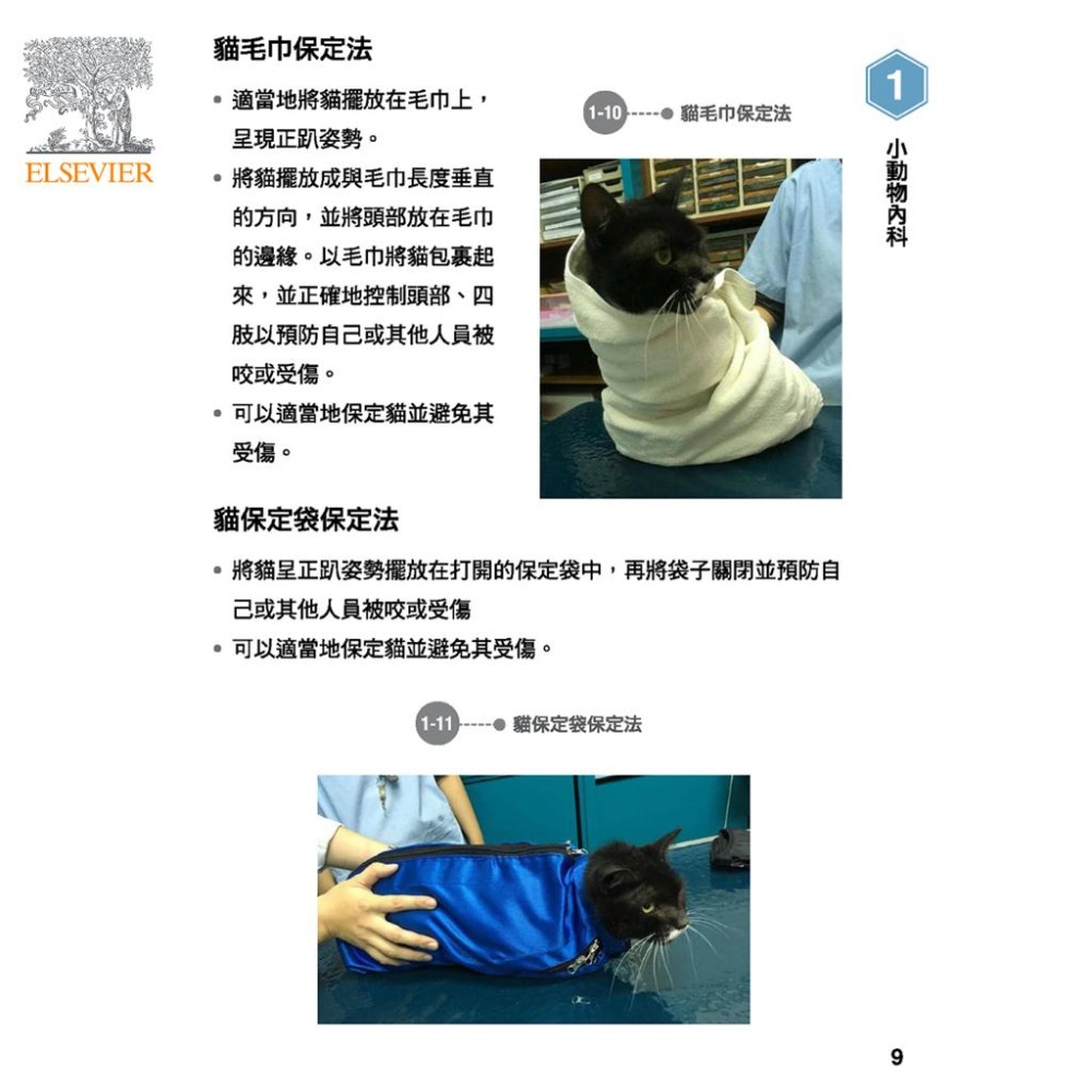 魏啥麻-《書》動物醫院分科與臨床技術手冊 (下單後進貨) 專業獸醫書籍-細節圖3