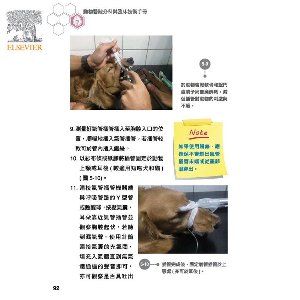 魏啥麻-《書》動物醫院分科與臨床技術手冊 (下單後進貨) 專業獸醫書籍-細節圖4