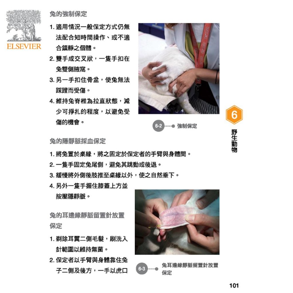 魏啥麻-《書》動物醫院分科與臨床技術手冊 (下單後進貨) 專業獸醫書籍-細節圖5