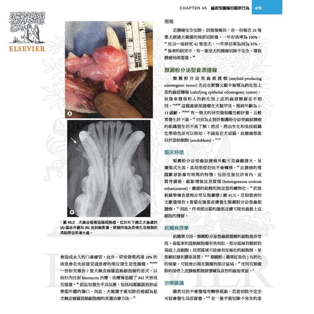 魏啥麻-《書》犬貓口腔與上頜顏面外科，第二版(下單後進貨) 專業獸醫書籍-細節圖2