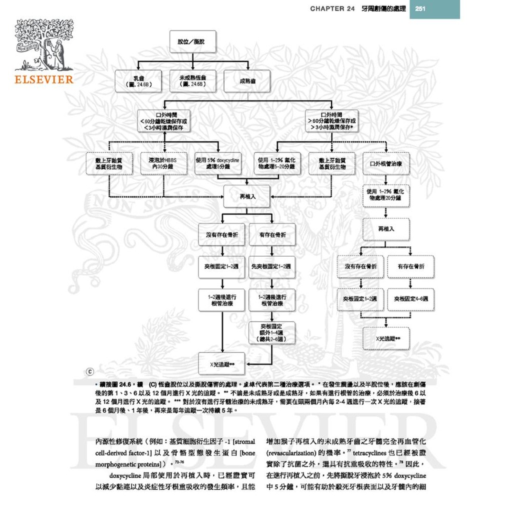魏啥麻-《書》犬貓口腔與上頜顏面外科，第二版(下單後進貨) 專業獸醫書籍-細節圖5