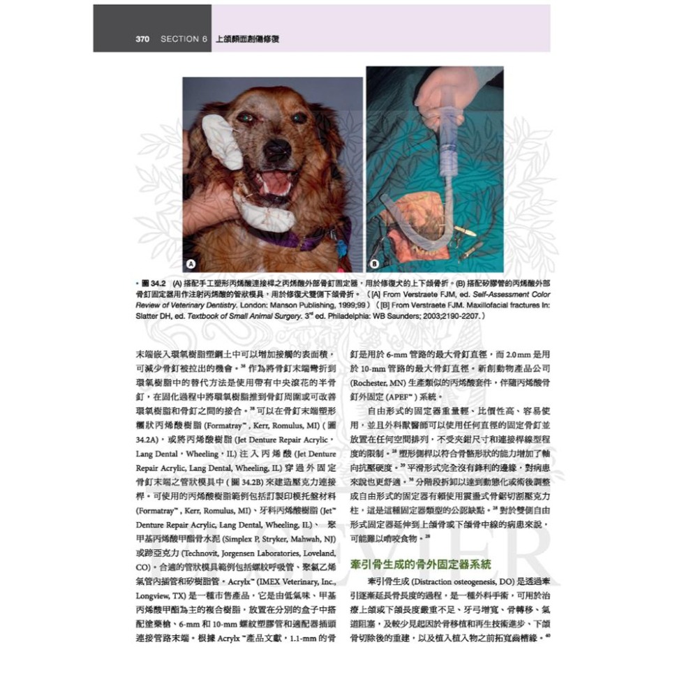 魏啥麻-《書》犬貓口腔與上頜顏面外科，第二版(下單後進貨) 專業獸醫書籍-細節圖7