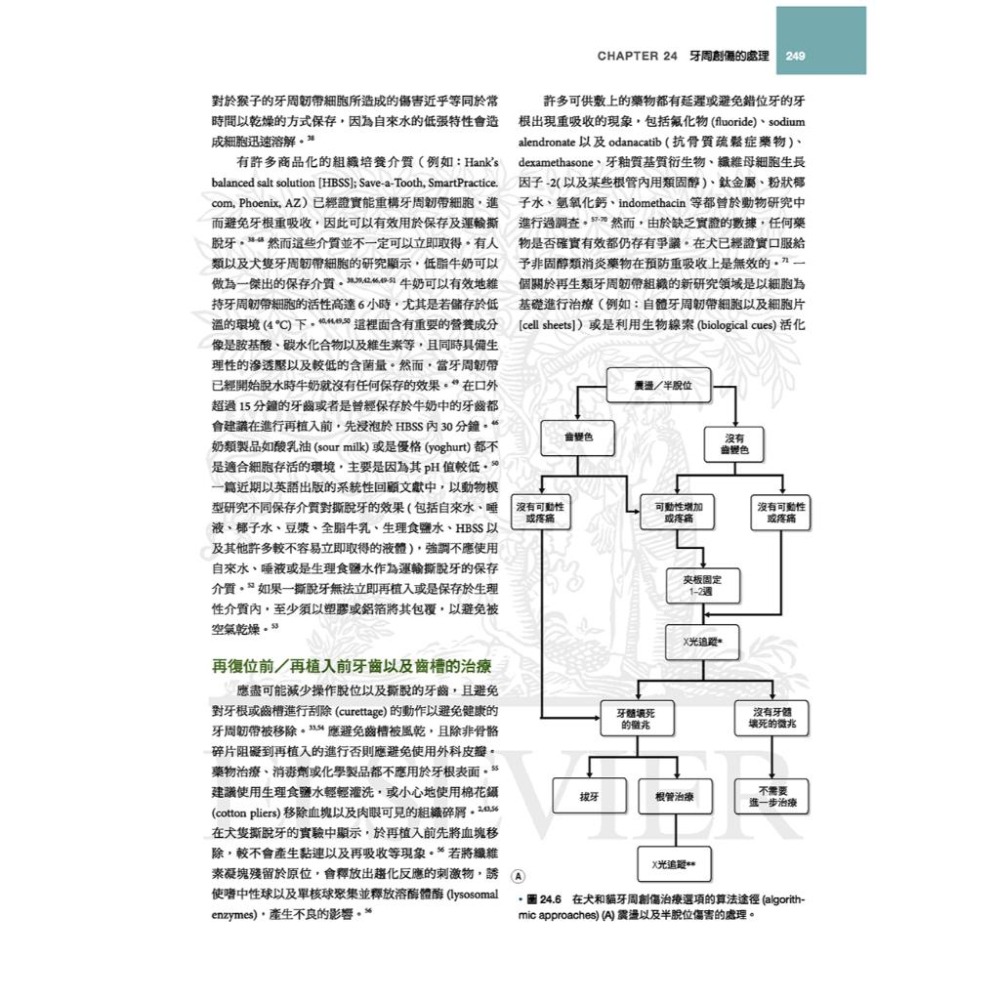 魏啥麻-《書》犬貓口腔與上頜顏面外科，第二版(下單後進貨) 專業獸醫書籍-細節圖8