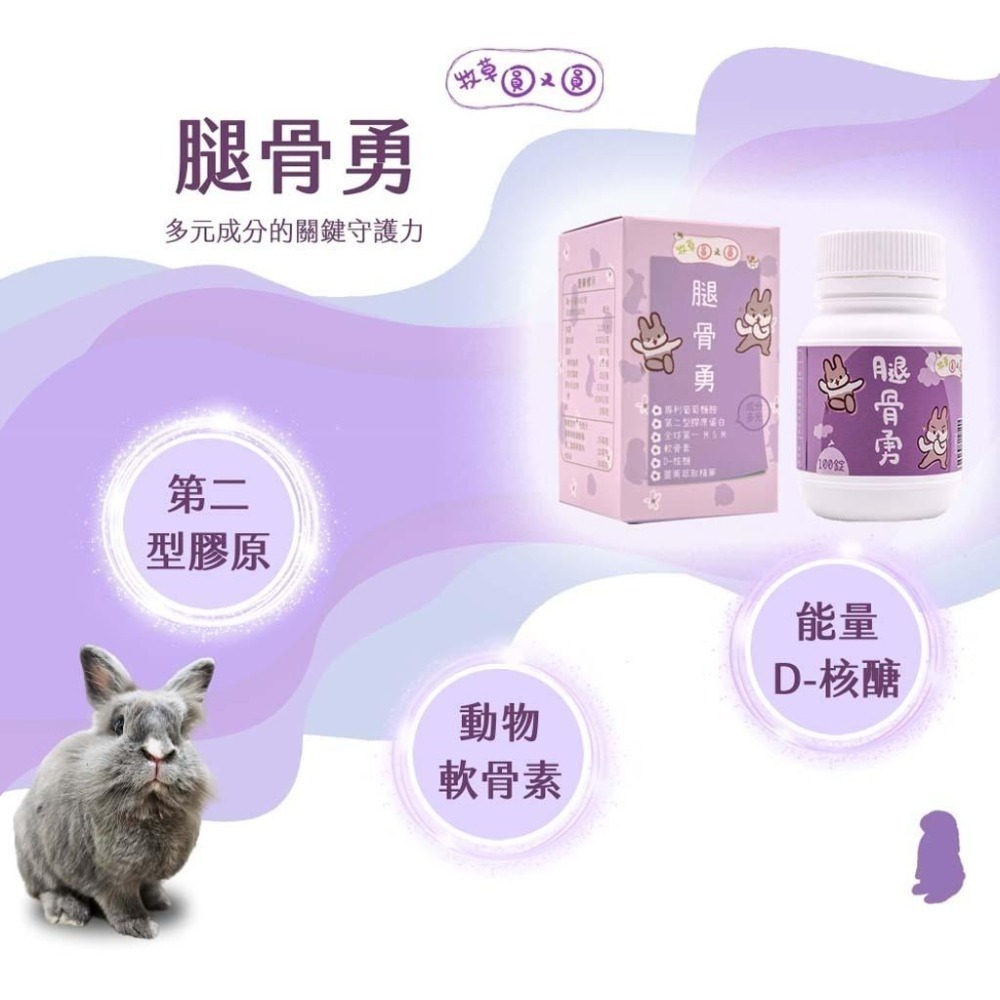 魏啥麻-牧草圓又圓 腿骨勇 (葡萄醣胺鹽酸鹽 MSM 鯊魚軟骨 雞胸軟骨萃取 D-核糖)兔 天竺鼠保健品-細節圖2