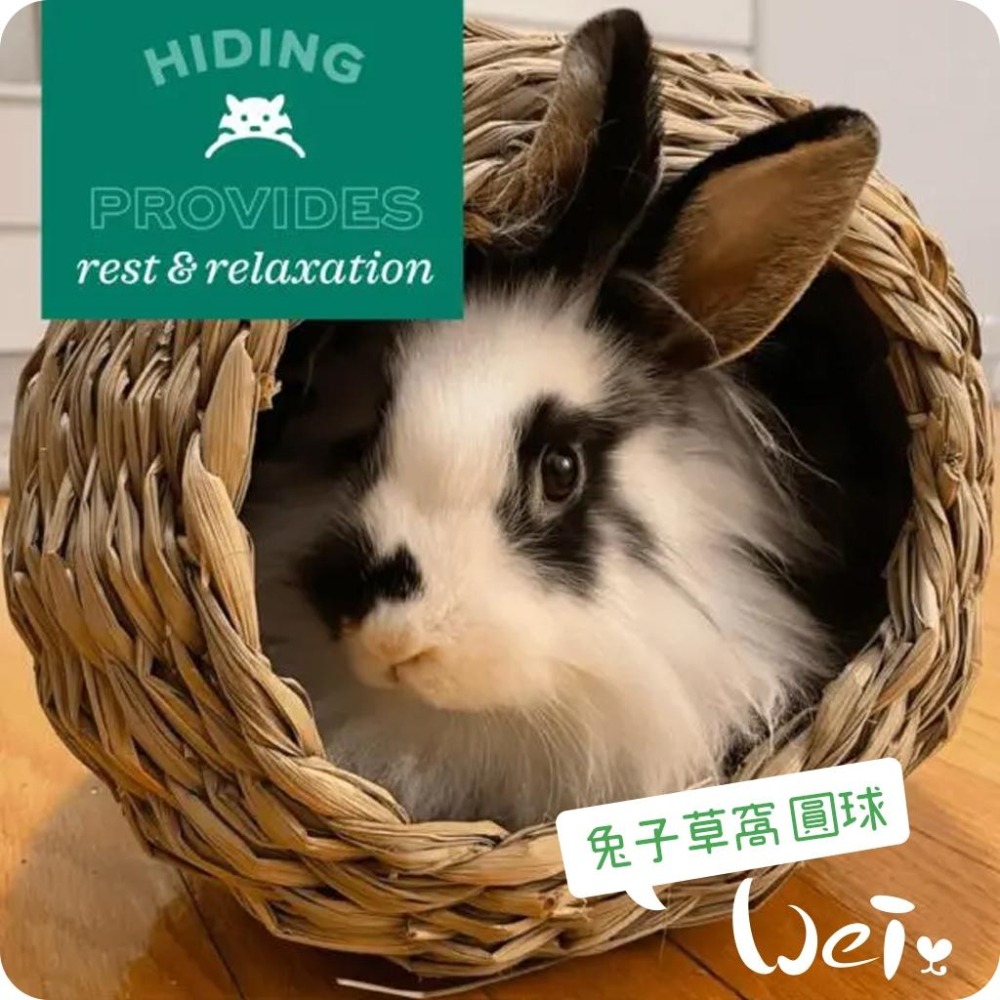 魏啥麻-OXBOW 兔子草窩 圓球 (提摩西草) 兔 天竺鼠 龍貓 (22.8x25.4x20.3cm)-細節圖2