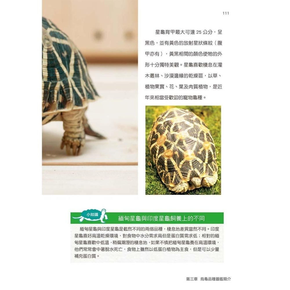 魏啥麻-《書》烏龜飼育與圖鑑百科：從飼養方法、健康照護，帶你認識全世界的烏龜、正確飼養烏龜！-細節圖8