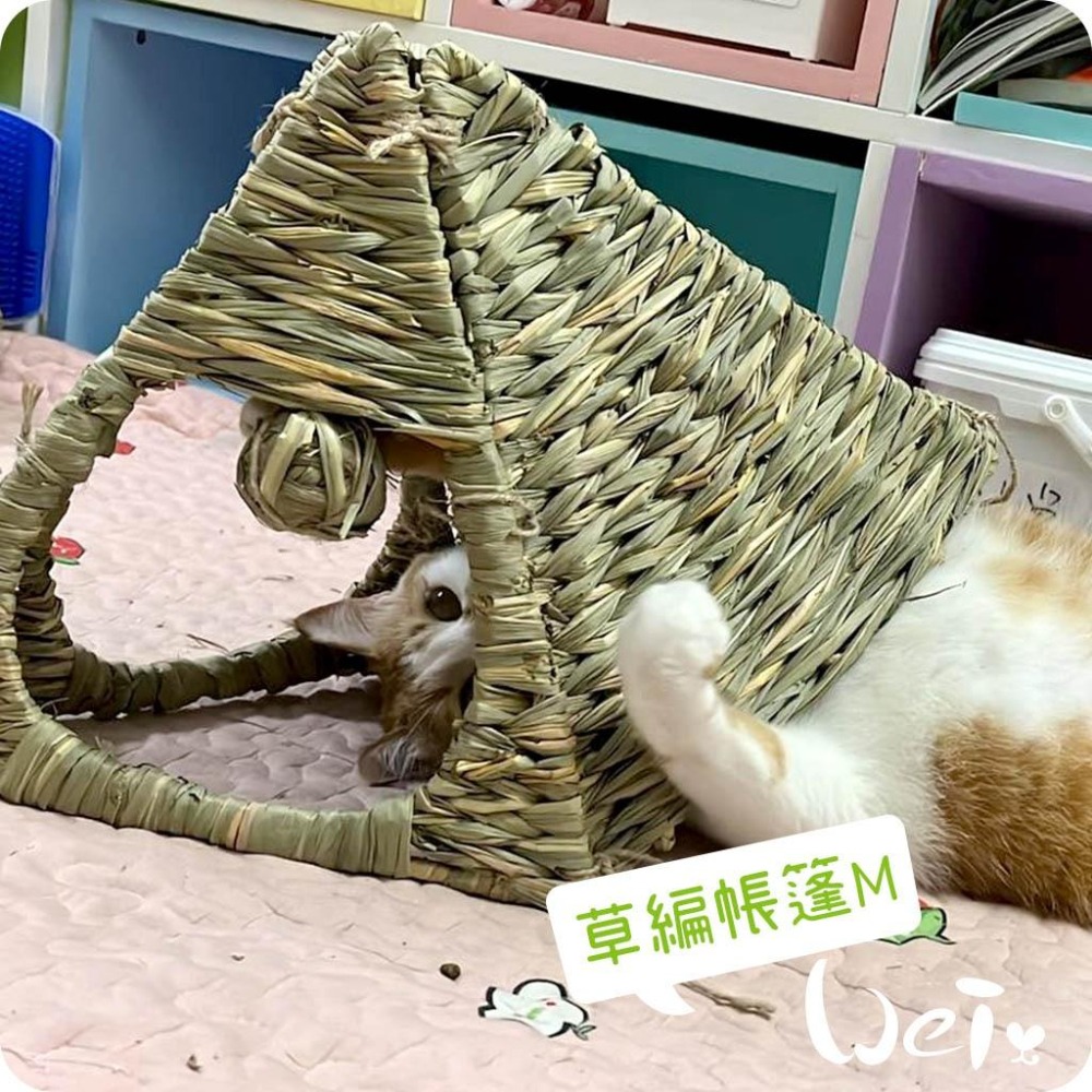 魏啥麻-日本 HI-PET 自然家居 草編帳篷 (兔 天竺鼠 龍貓 草編玩具)-細節圖5