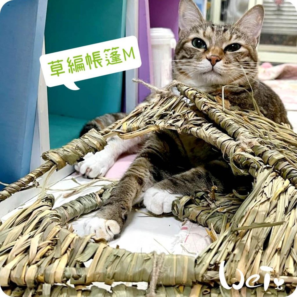 魏啥麻-日本 HI-PET 自然家居 草編帳篷 (兔 天竺鼠 龍貓 草編玩具)-細節圖6