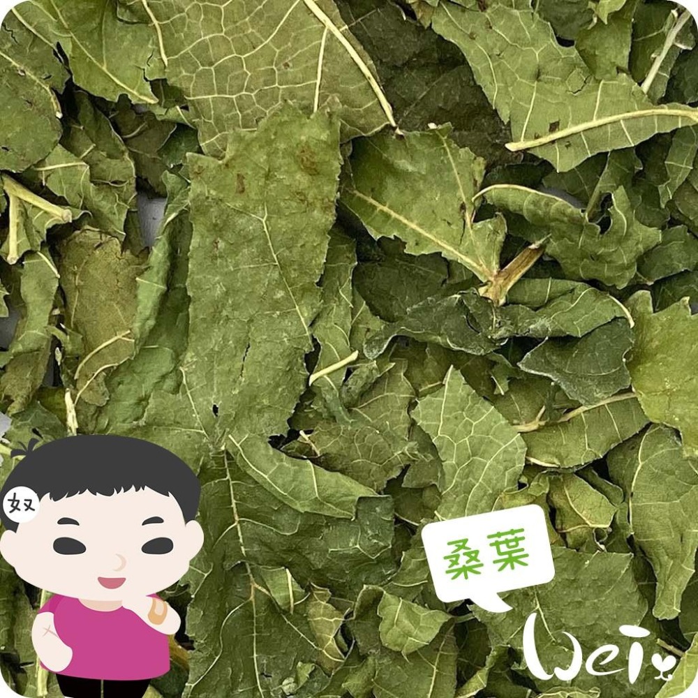 魏啥麻-日本GEX健康食譜 桑葉 10g(兔 天竺鼠零食)-細節圖2