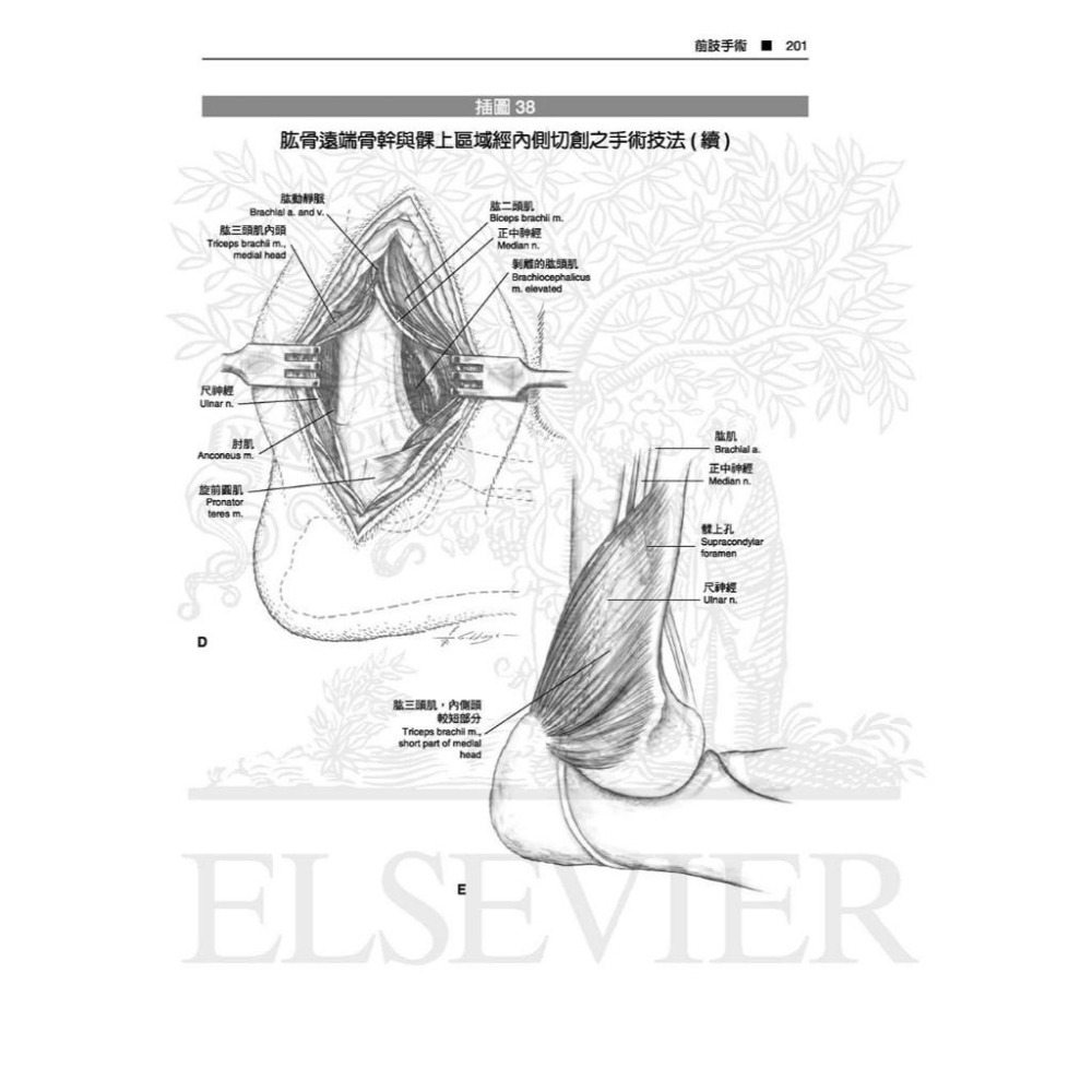 魏啥麻-《書》Piermattei’s 圖解犬貓骨骼關節手術技法(5版)(下單後進貨) 專業獸醫書籍-細節圖4