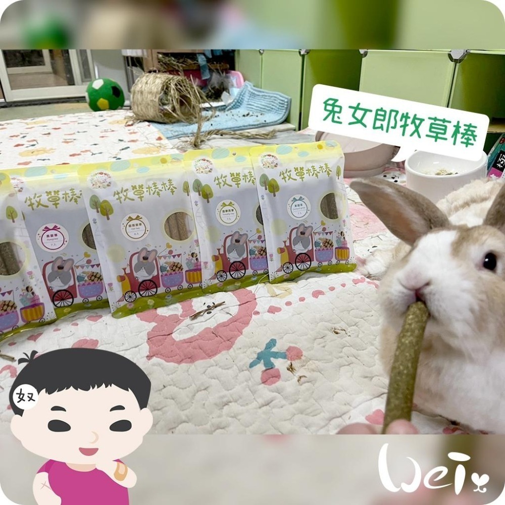 魏啥麻-兔女郎 黑麥草牧草棒棒 7入 (含菊苣纖維(益生元) 純草無添加)(兔 天竺鼠 龍貓可)-細節圖2