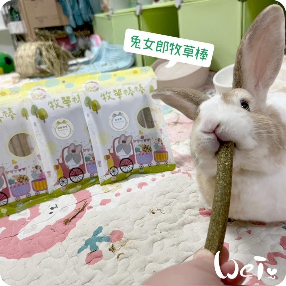 魏啥麻-兔女郎 黑麥草牧草棒棒 7入 (含菊苣纖維(益生元) 純草無添加)(兔 天竺鼠 龍貓可)-細節圖4