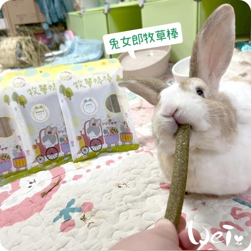 魏啥麻-兔女郎 黑麥草牧草棒棒 7入 (含菊苣纖維(益生元) 純草無添加)(兔 天竺鼠 龍貓可)-細節圖8