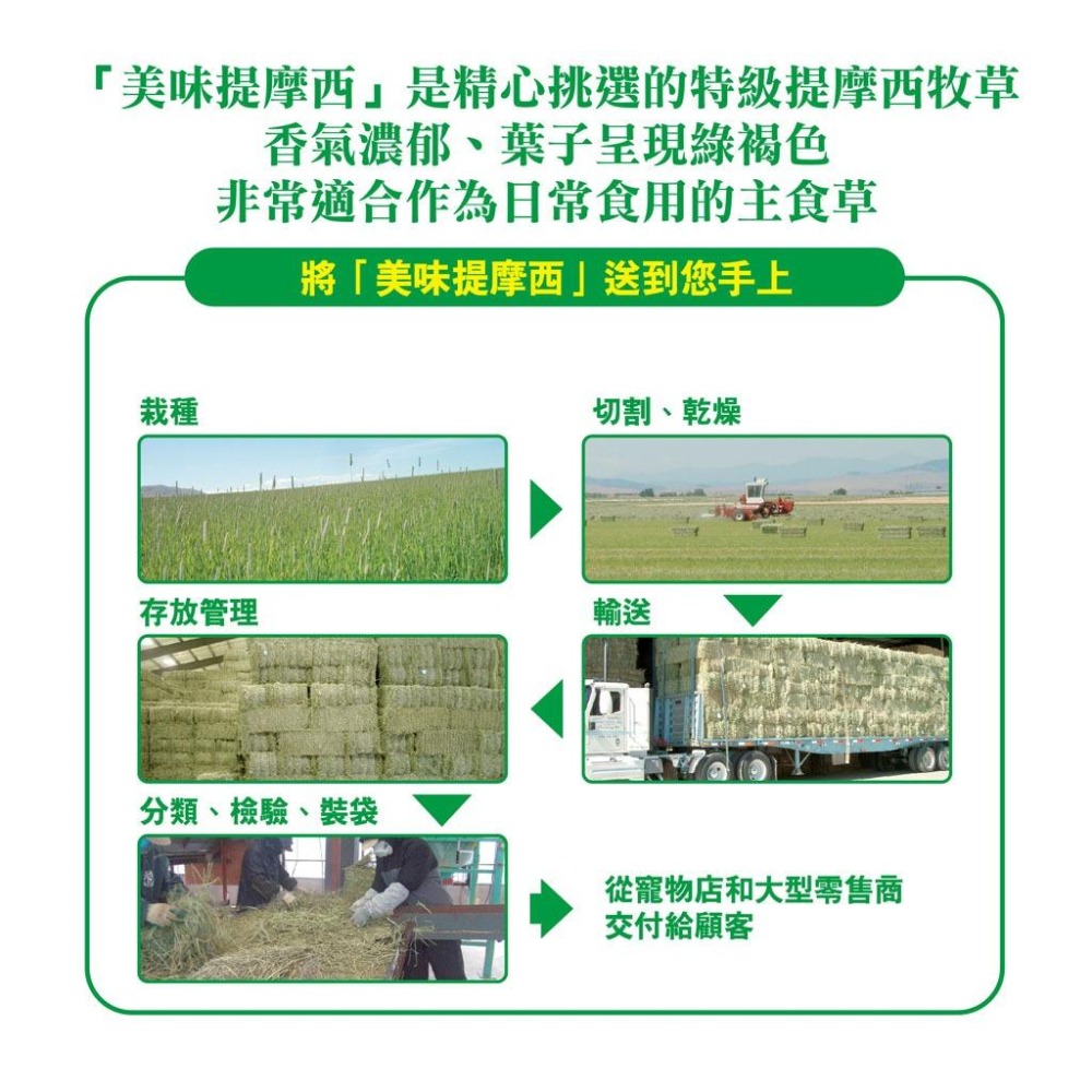 魏啥麻-日本GEX 柔軟一番割提摩西 450g (兔 天竺鼠 龍貓牧草)-細節圖2