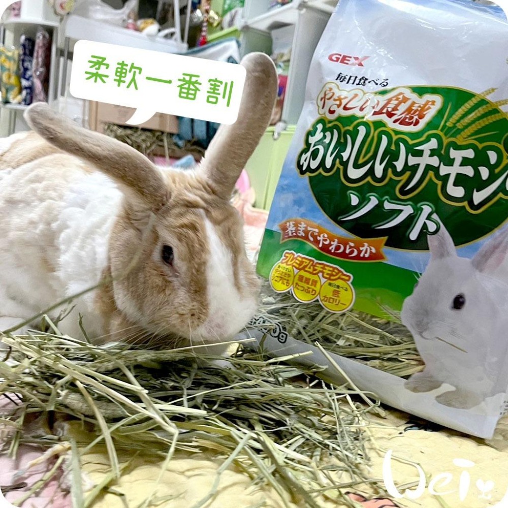 魏啥麻-日本GEX 柔軟一番割提摩西 450g (兔 天竺鼠 龍貓牧草)-細節圖4