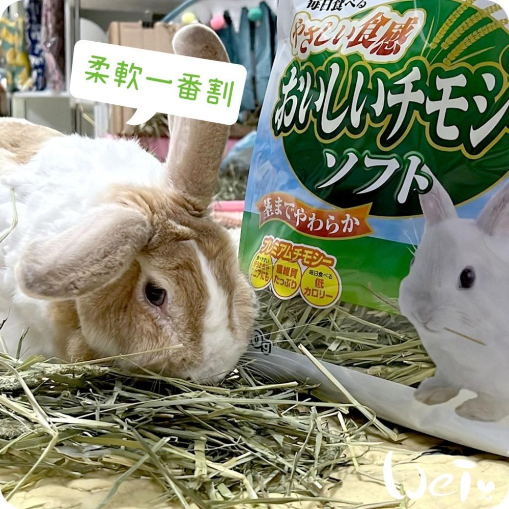 魏啥麻-日本GEX 柔軟一番割提摩西 450g (兔 天竺鼠 龍貓牧草)-細節圖5