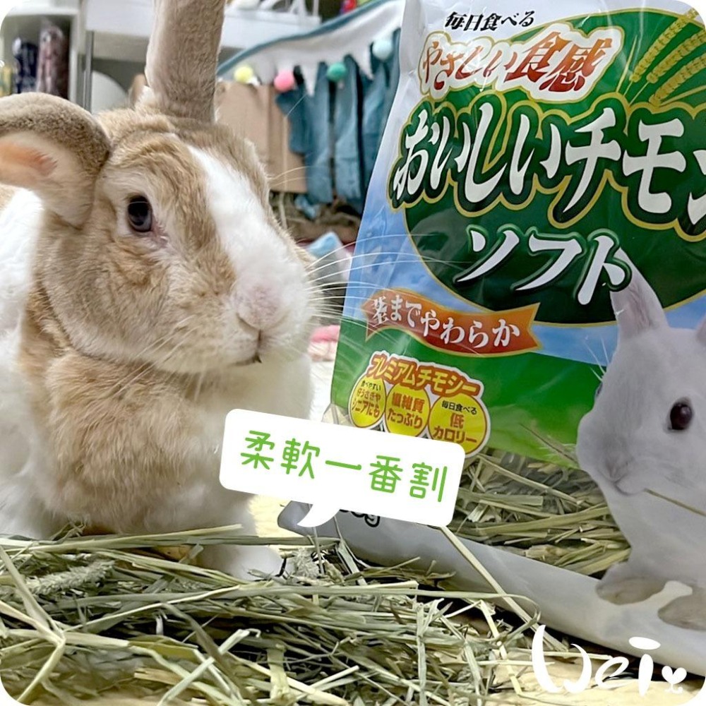 魏啥麻-日本GEX 柔軟一番割提摩西 450g (兔 天竺鼠 龍貓牧草)-細節圖6