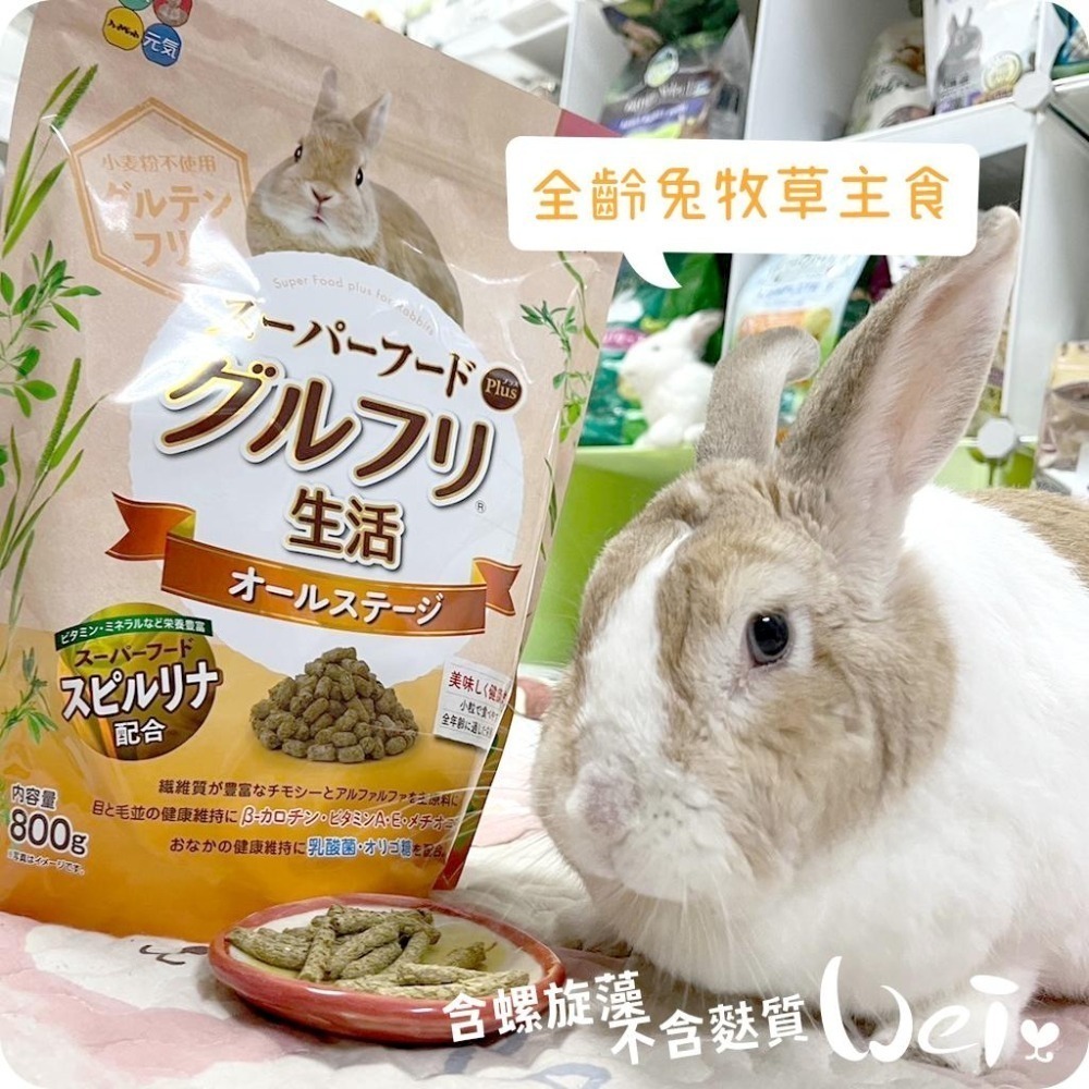 魏啥麻-日本HI PET全齡兔牧草主食飼料 800g (低鈣 無麩質 螺旋藻 β-胡蘿蔔素 乳酸菌 高蛋白)兔飼料-細節圖2