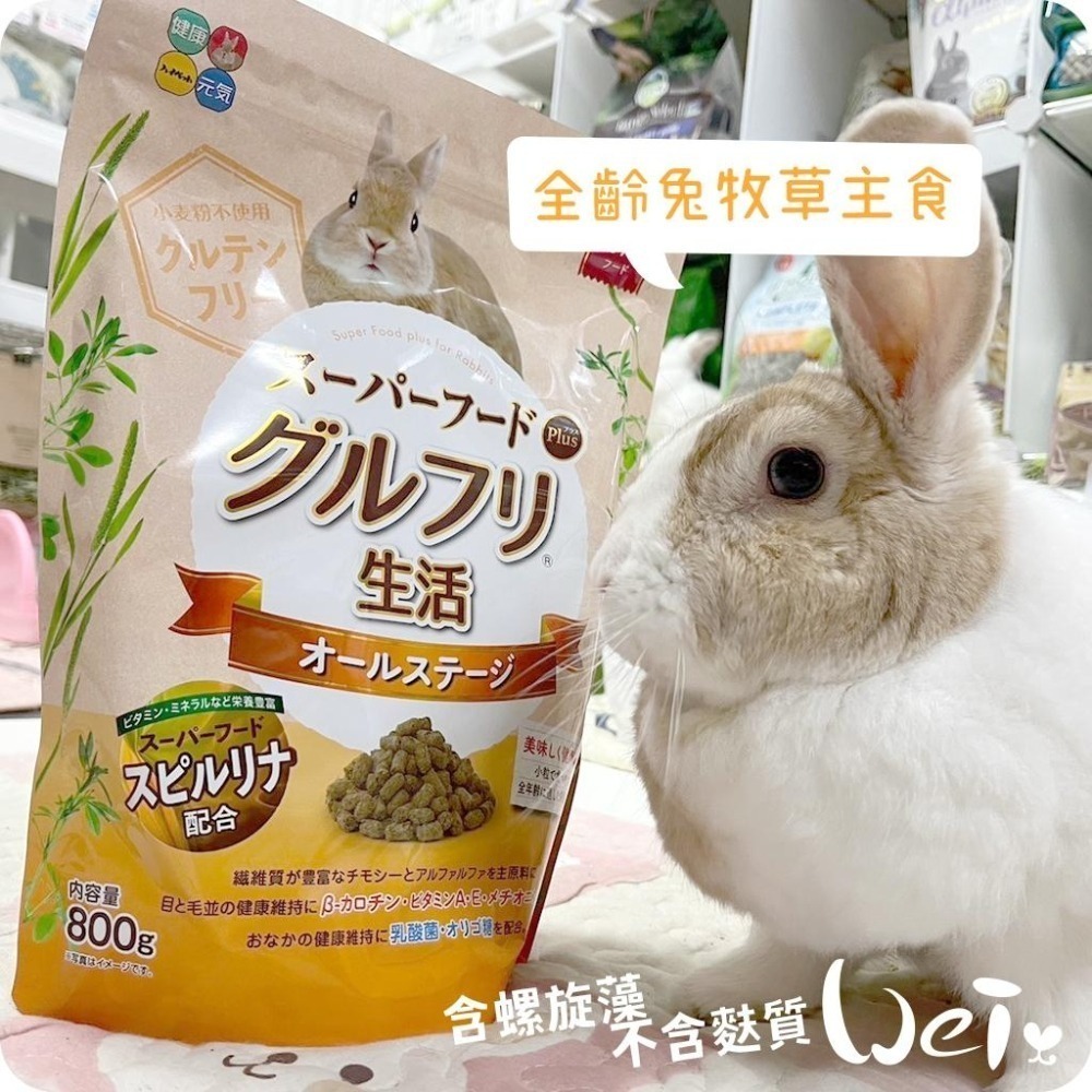 魏啥麻-日本HI PET全齡兔牧草主食飼料 800g (低鈣 無麩質 螺旋藻 β-胡蘿蔔素 乳酸菌 高蛋白)兔飼料-細節圖3