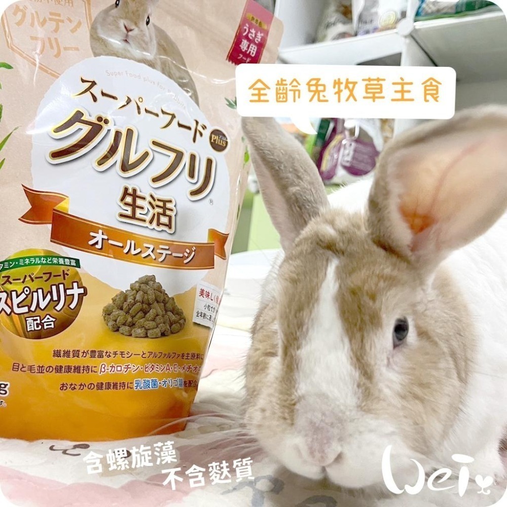 魏啥麻-日本HI PET全齡兔牧草主食飼料 800g (低鈣 無麩質 螺旋藻 β-胡蘿蔔素 乳酸菌 高蛋白)兔飼料-細節圖4