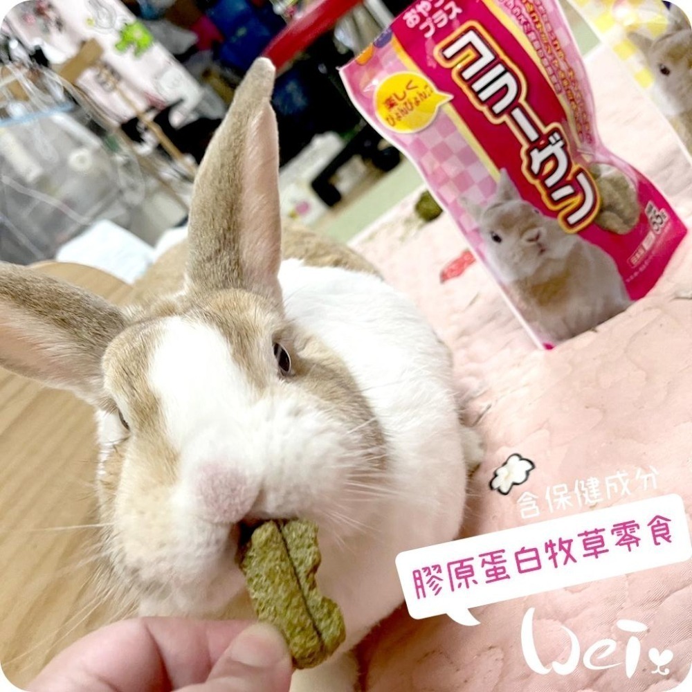 魏啥麻-日本HI PET 膠原蛋白牧草零食 55g (關節保健 膠原蛋白 葡萄糖胺 礦物質)(兔 天竺鼠零食)-細節圖2