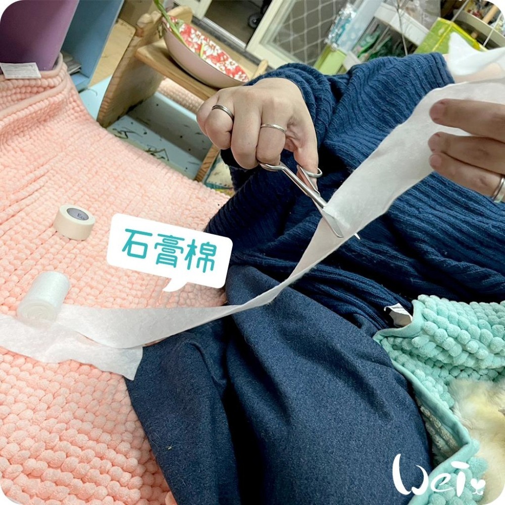 魏啥麻-石膏棉捲(未滅菌) / 寵物手腳、胼胝足底炎、食道胃管 (寵物醫療用品(包紮)-細節圖3