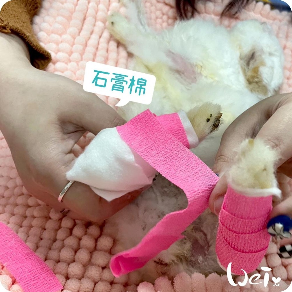 魏啥麻-石膏棉捲(未滅菌) / 寵物手腳、胼胝足底炎、食道胃管 (寵物醫療用品(包紮)-細節圖8