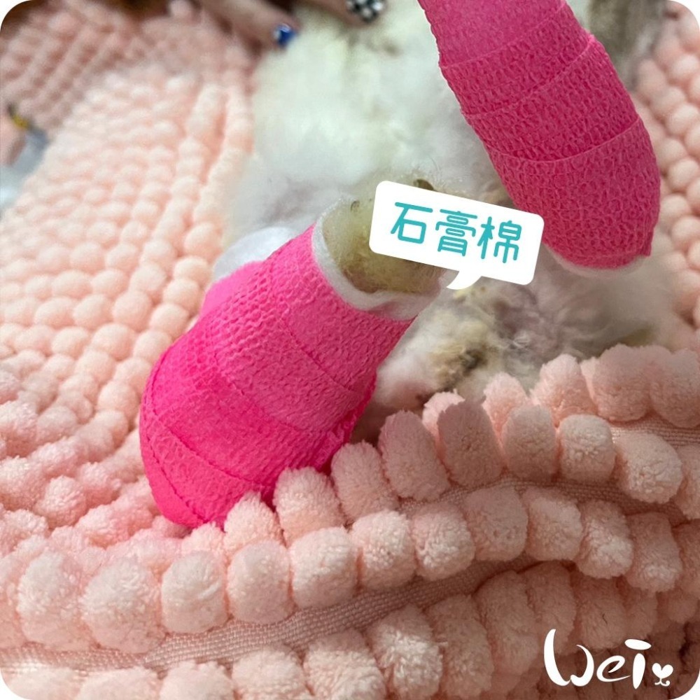 魏啥麻-石膏棉捲(未滅菌) / 寵物手腳、胼胝足底炎、食道胃管 (寵物醫療用品(包紮)-細節圖9