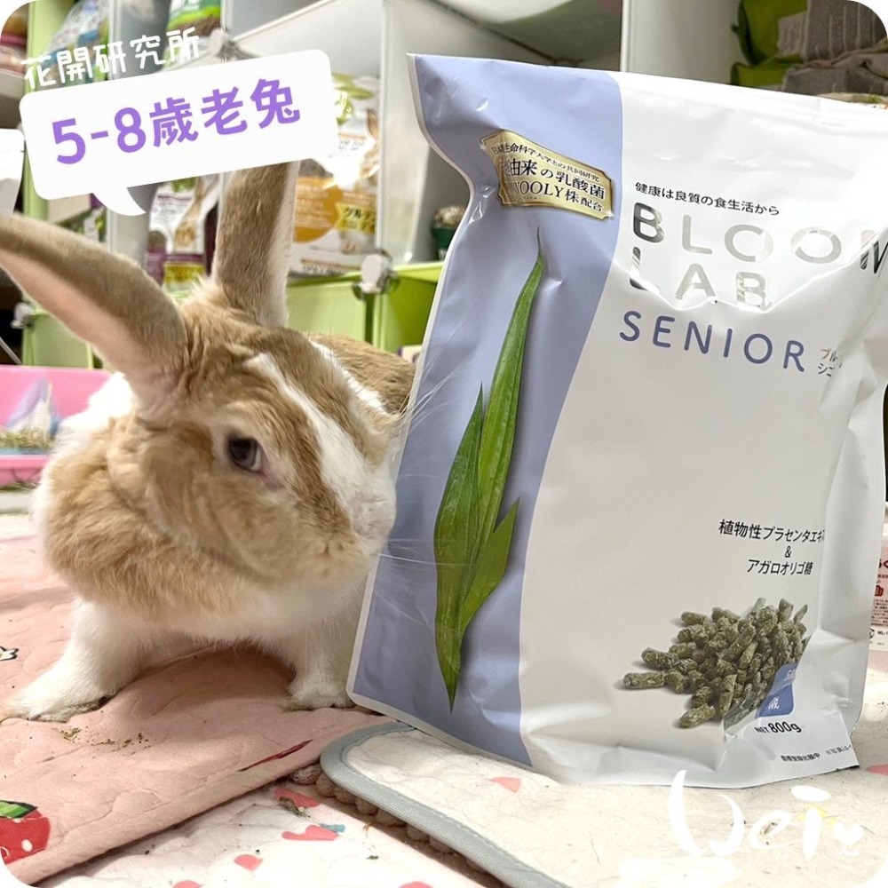 魏啥麻-日本WOOLY花開研究所5-8歲老兔飼料 800g (無小麥 低鈣 鬆軟 植物胎盤 寒天寡糖 乳酸菌)老兔飼料-細節圖2