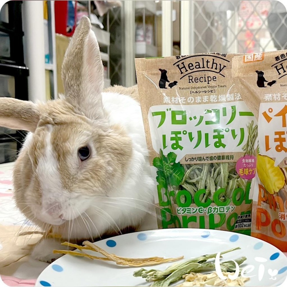 魏啥麻-日本GEX秘製爽脆青花菜莖 40g(兔 天竺鼠零食)健康食譜-細節圖6