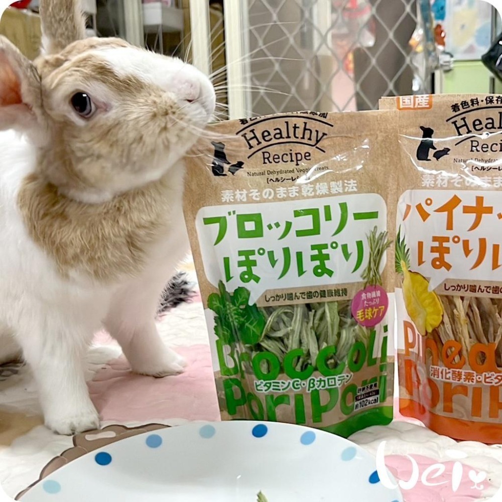 魏啥麻-日本GEX秘製爽脆青花菜莖 40g(兔 天竺鼠零食)健康食譜-細節圖8