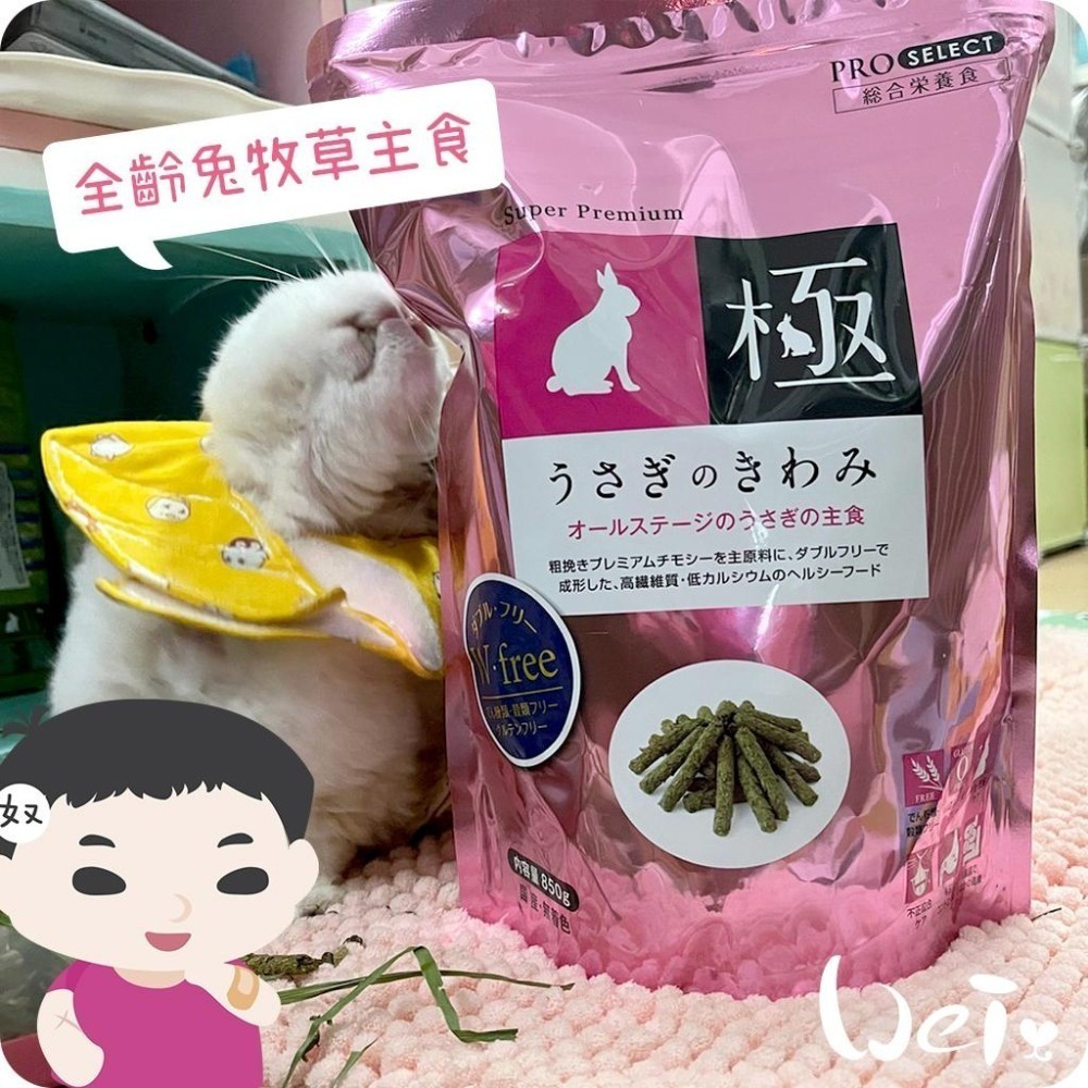 魏啥麻-日本HI PET粉極全齡兔牧草主食飼料850g(低鈣 無穀物無麩質 營養高 乳酸菌)-細節圖4